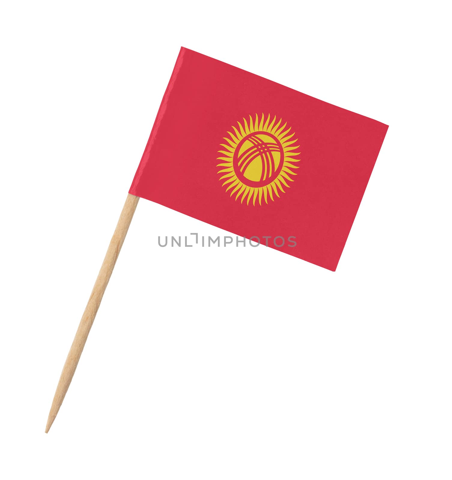 Small paper flag of Kyrgyzstan on wooden stick, isolated on white