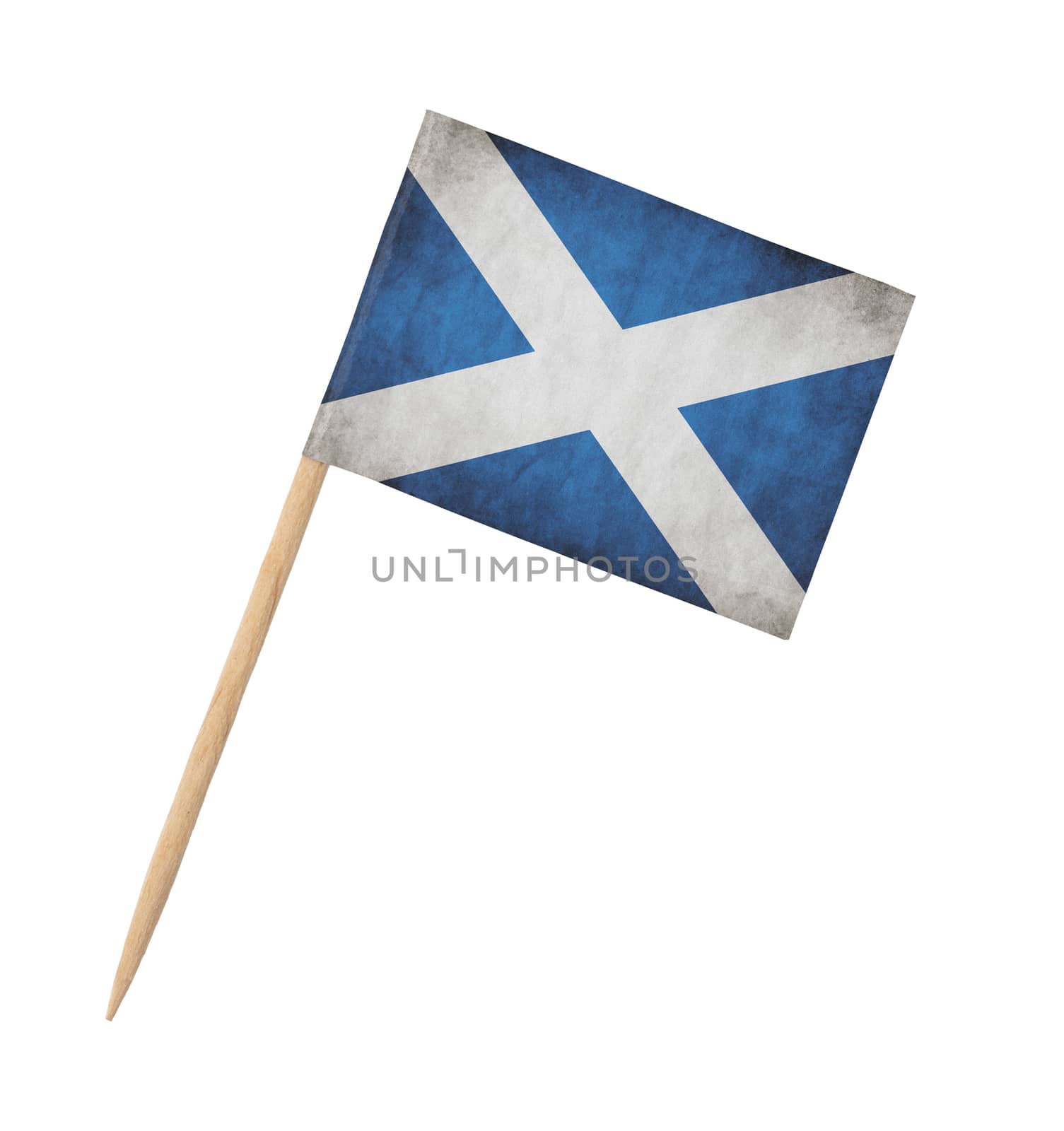 Small paper flag of Scotland on wooden stick, isolated on white