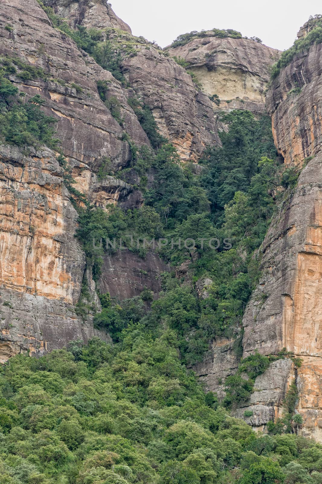 The Mudslide hiking trail ascends Ploughmans Kop via the gully in the middle of the image