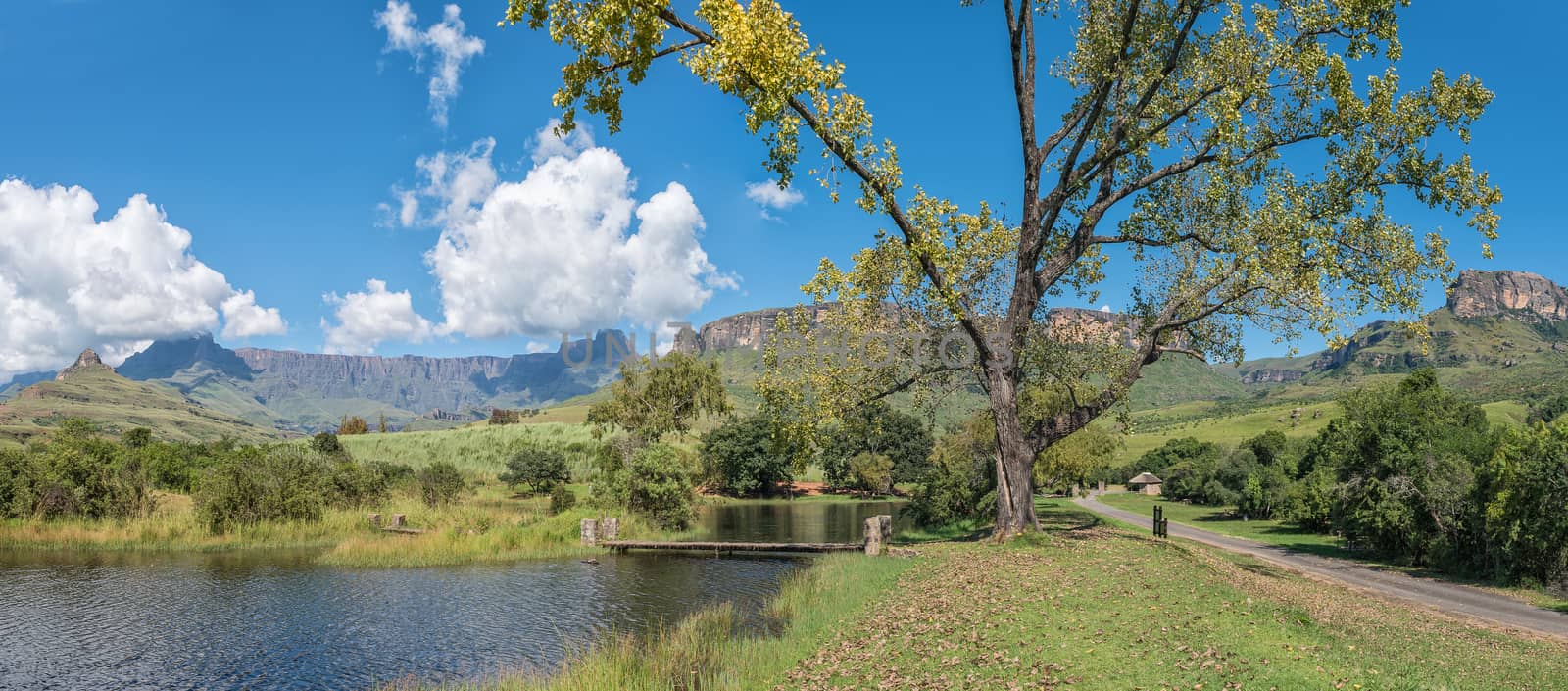 Trout pools next to the road to the start of the Tugela Gorge hiking trail. The Amphitheatre is visible in the back