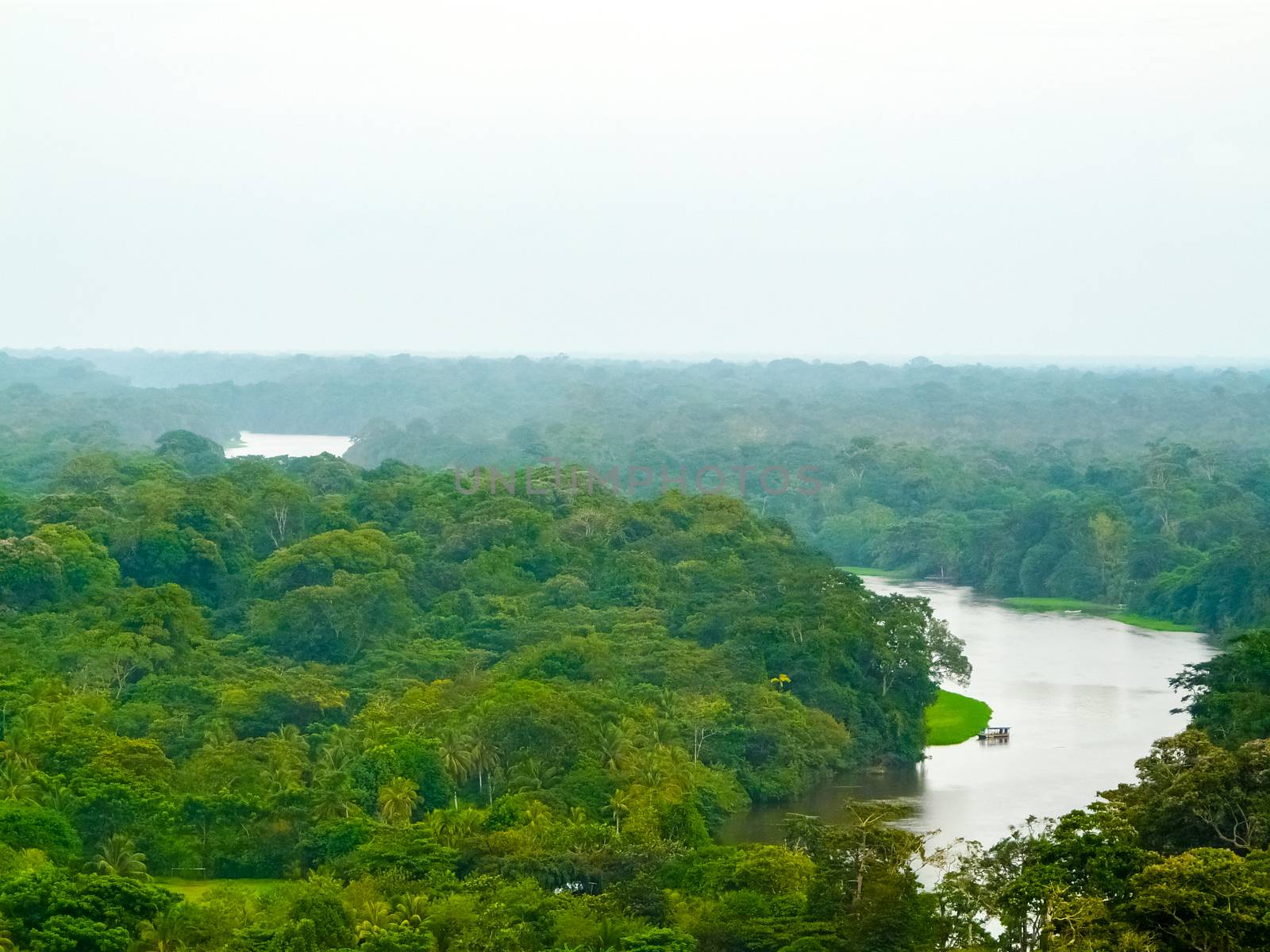 Tortuguero National Park, Limon, Costa Rica