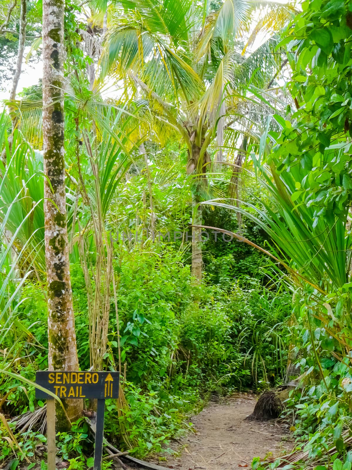Cahuita National Park, Caribbean Coast, Costa Rica