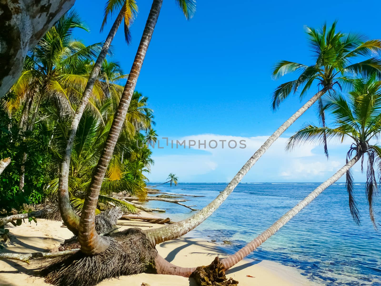 Beach in Cahuita National Park by nicousnake