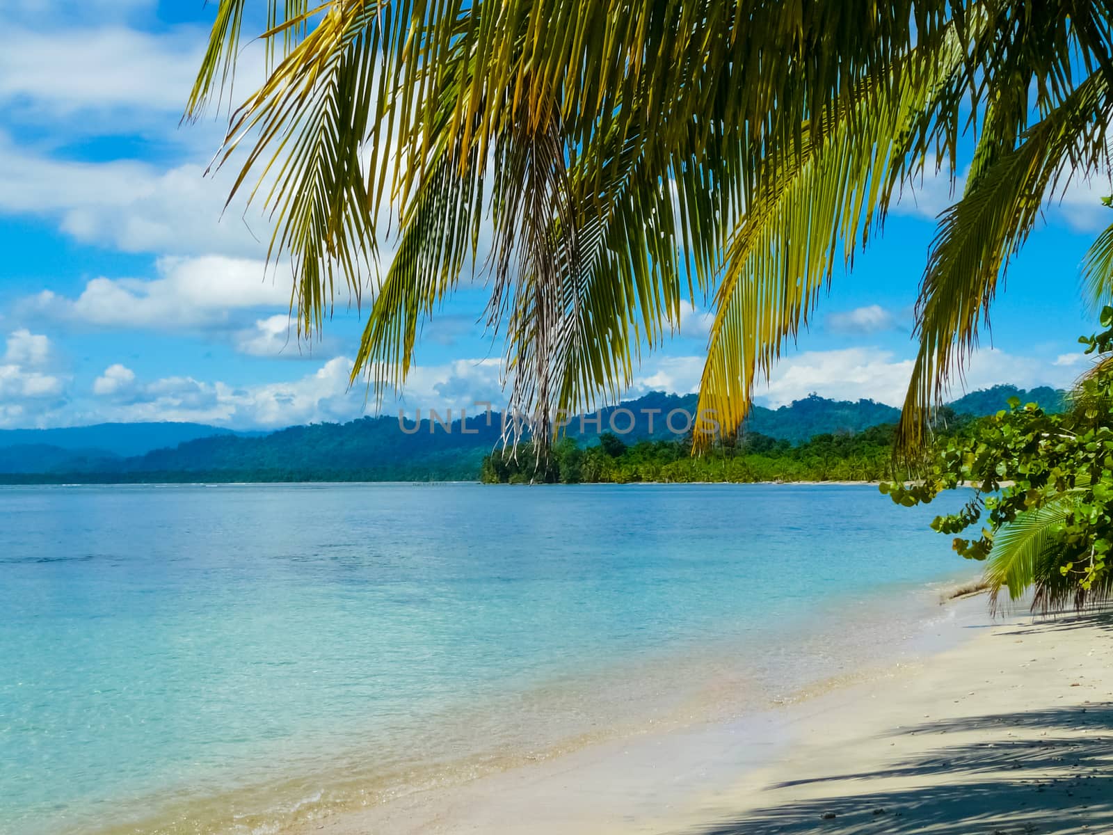 Beach in Cahuita National Park by nicousnake