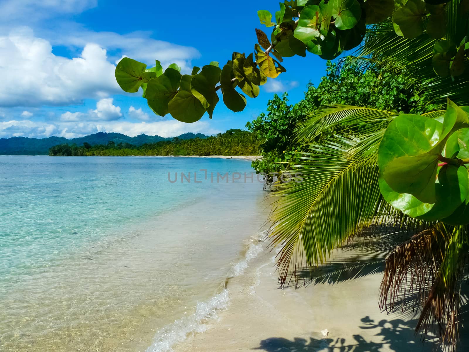 Beach in Cahuita National Park, Caribbean Coast, Costa Rica