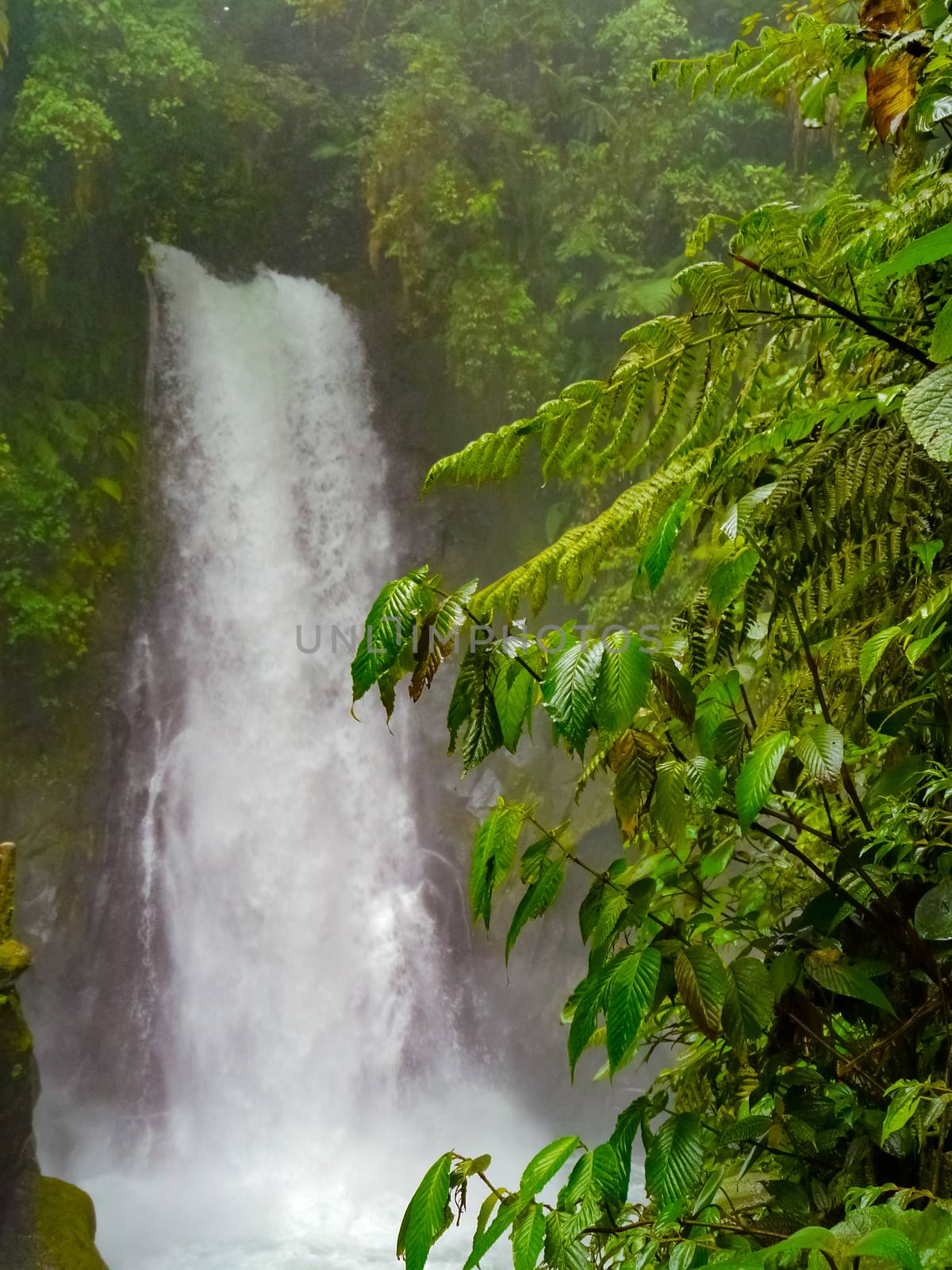 La Paz Waterfall Gardens Nature Park, Alajuela, Costa Rica