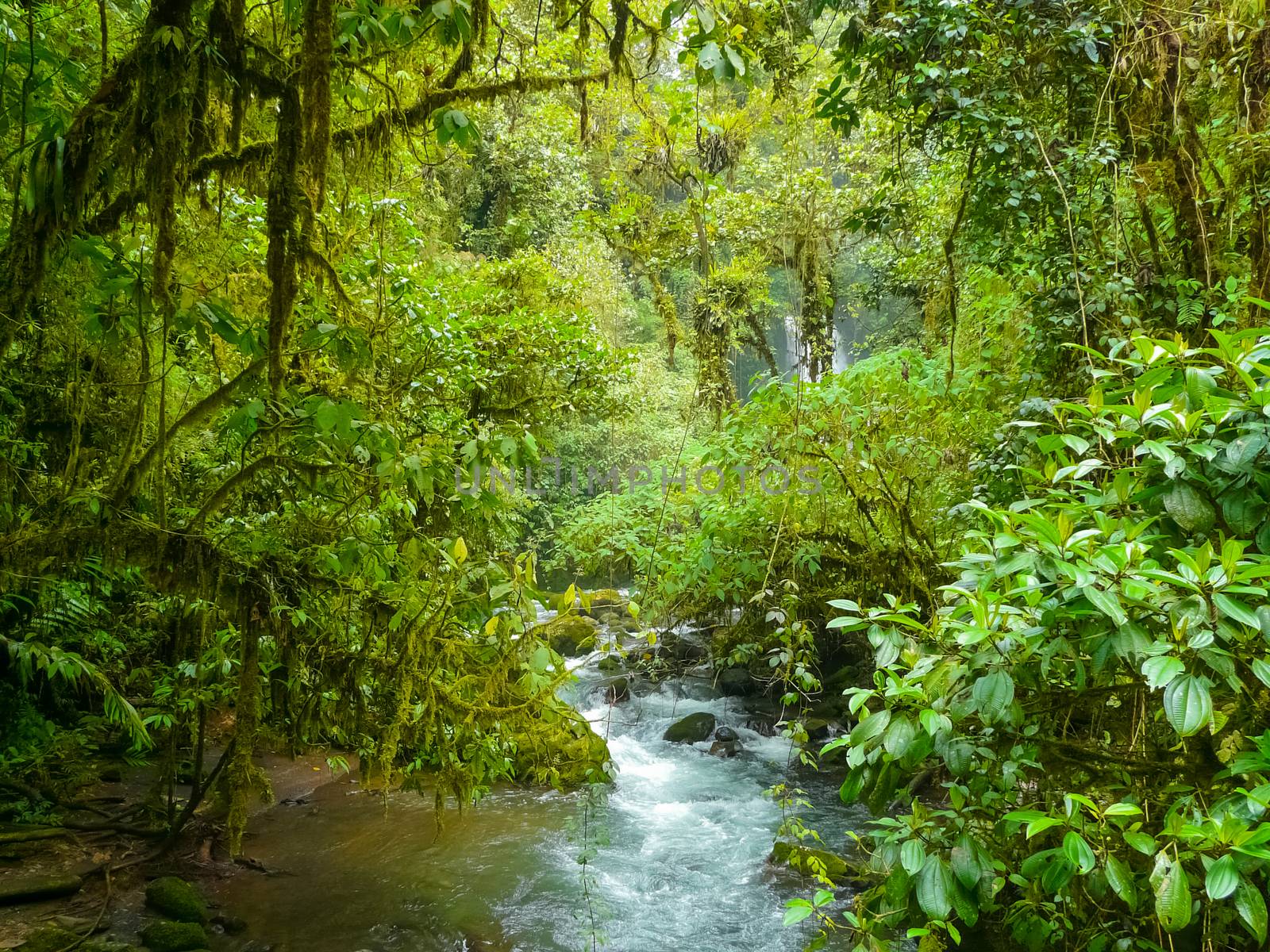 La Paz Waterfall Gardens Nature Park by nicousnake