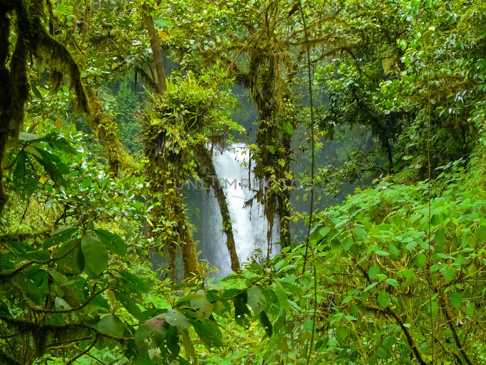 La Paz Waterfall Gardens Nature Park by nicousnake