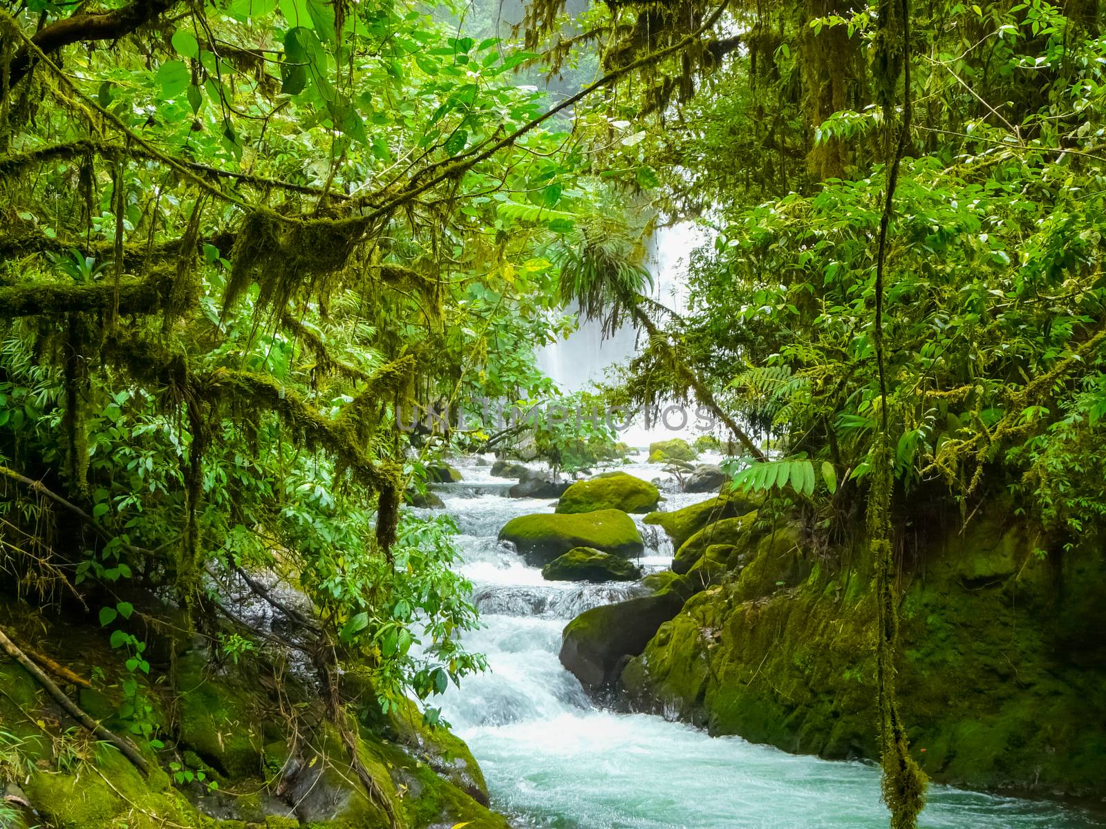 La Paz Waterfall Gardens Nature Park by nicousnake