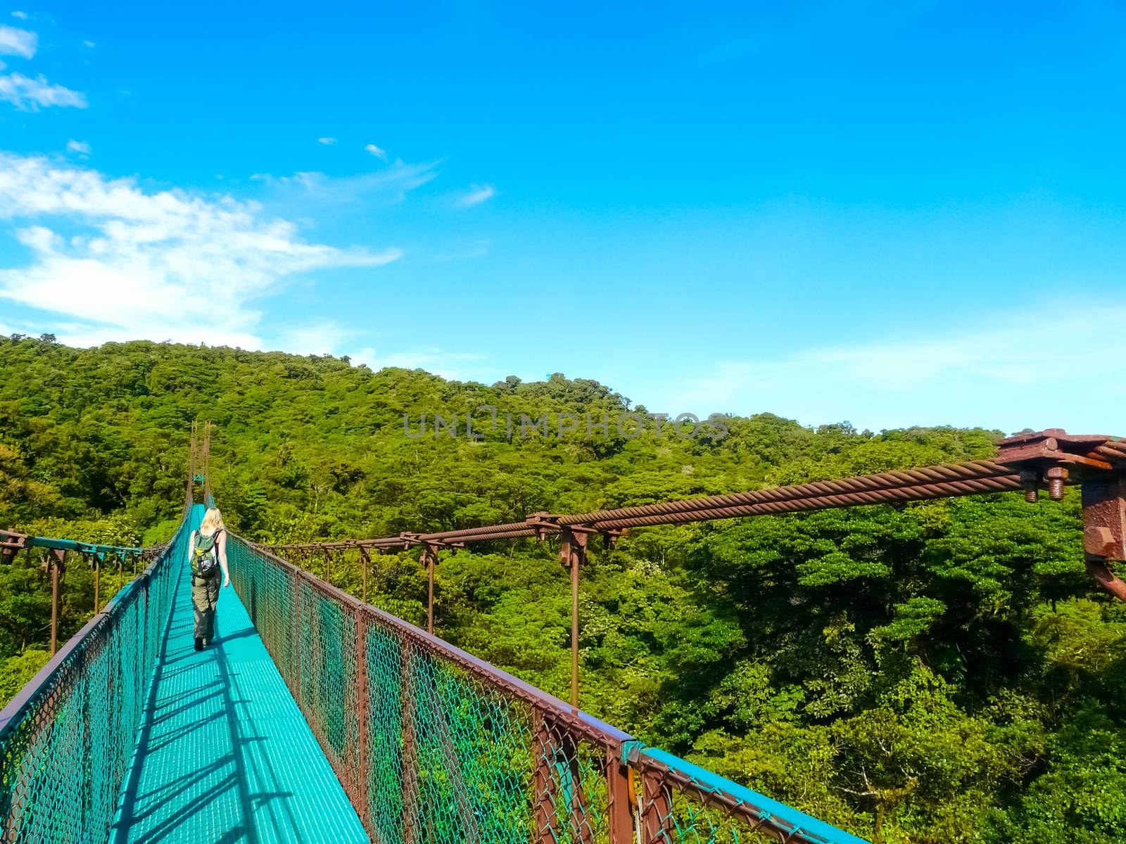 Monteverde national park by nicousnake