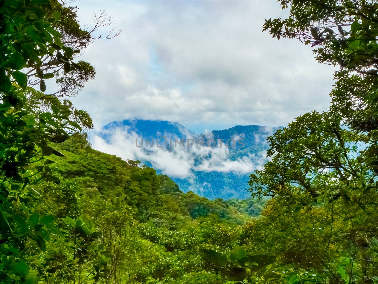 Monteverde national park, Puntarenas, Costa Rica