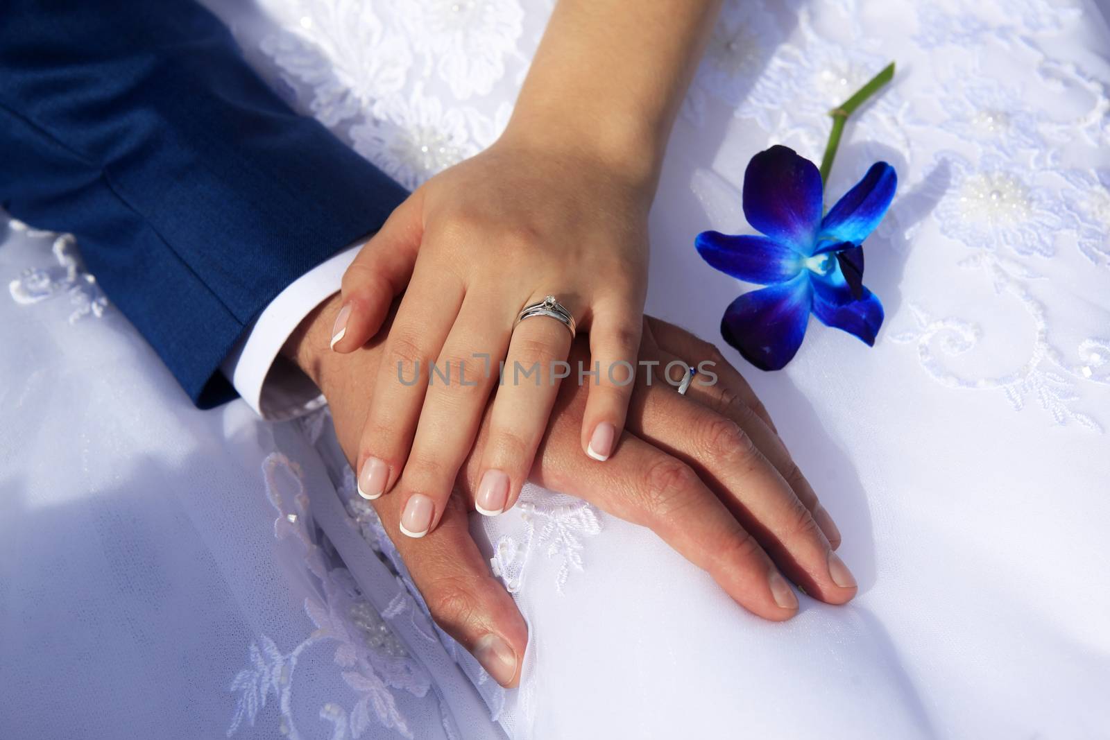 Hands of the bride and groom on the background of a wedding dress.