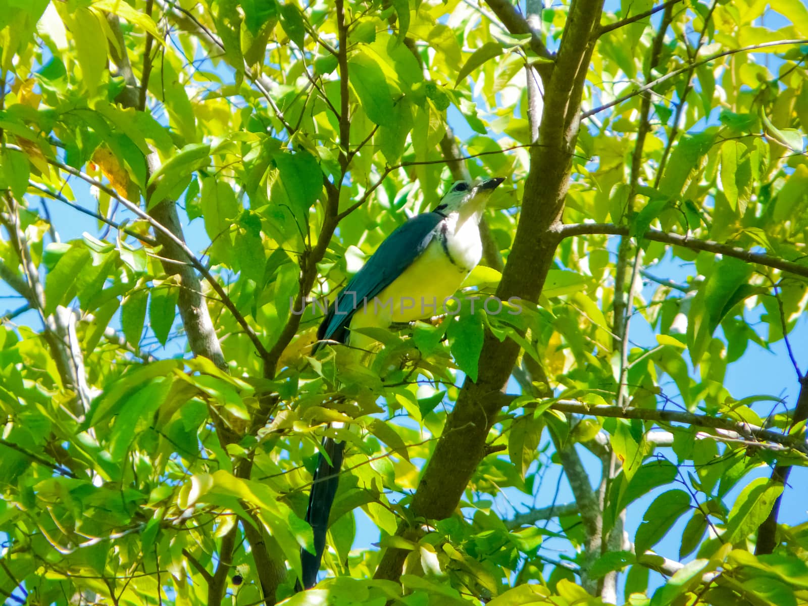 Cabo Blanco National Park, Puntarenas, Costa Rica