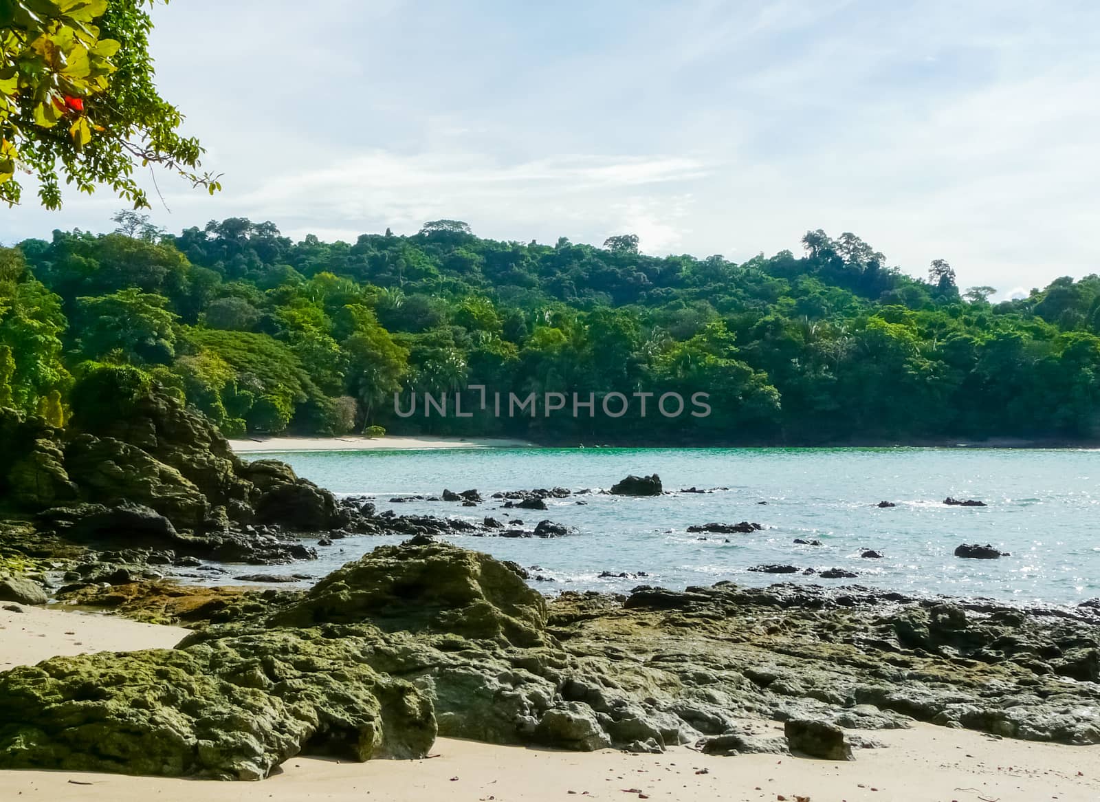 Manuel Antonio National Park by nicousnake