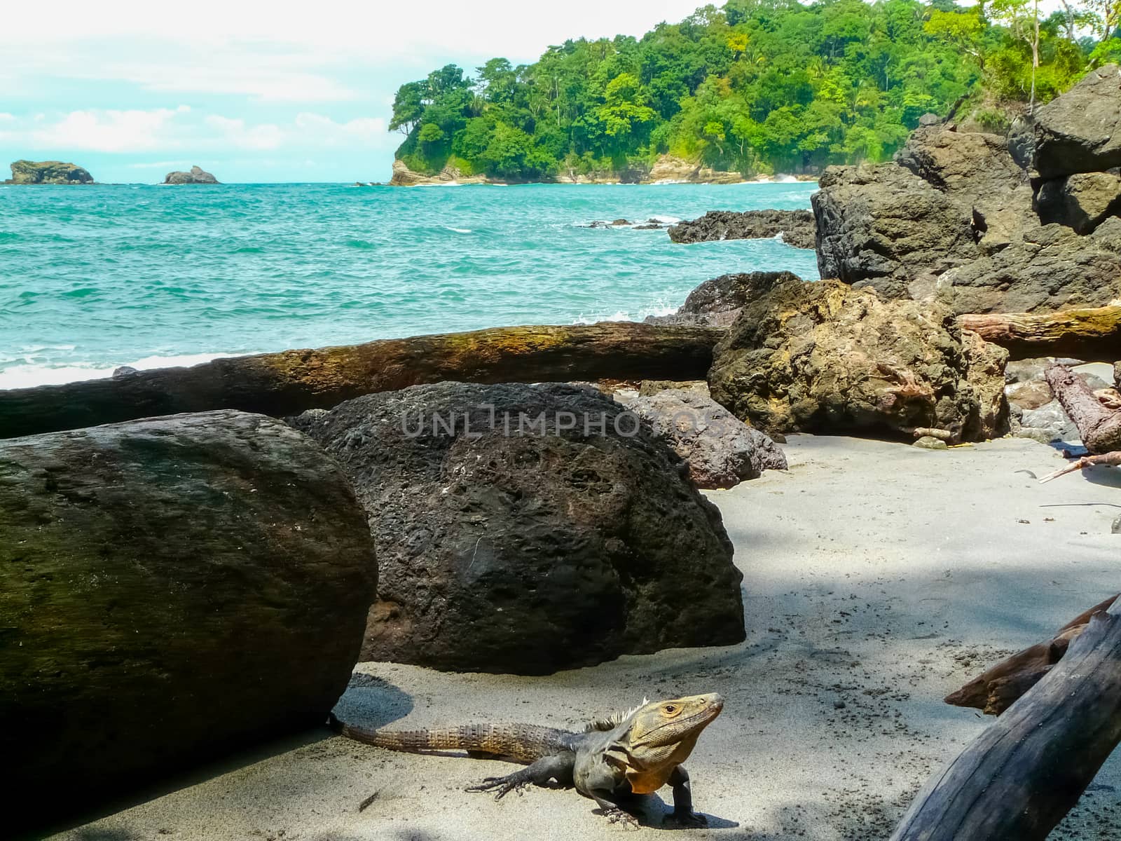 Manuel Antonio National Park by nicousnake