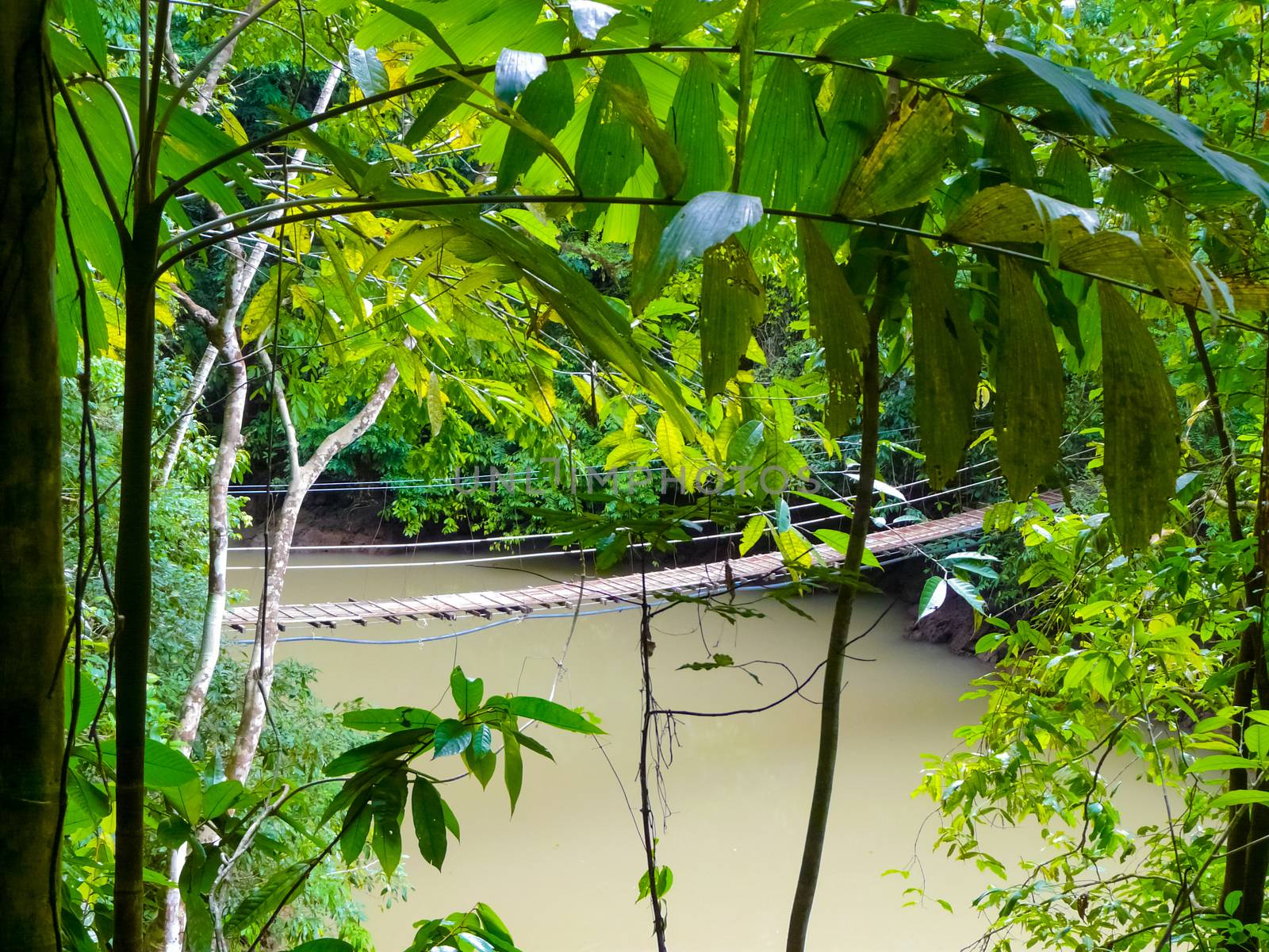 Corcovado National Park, Osa Peninsula by nicousnake