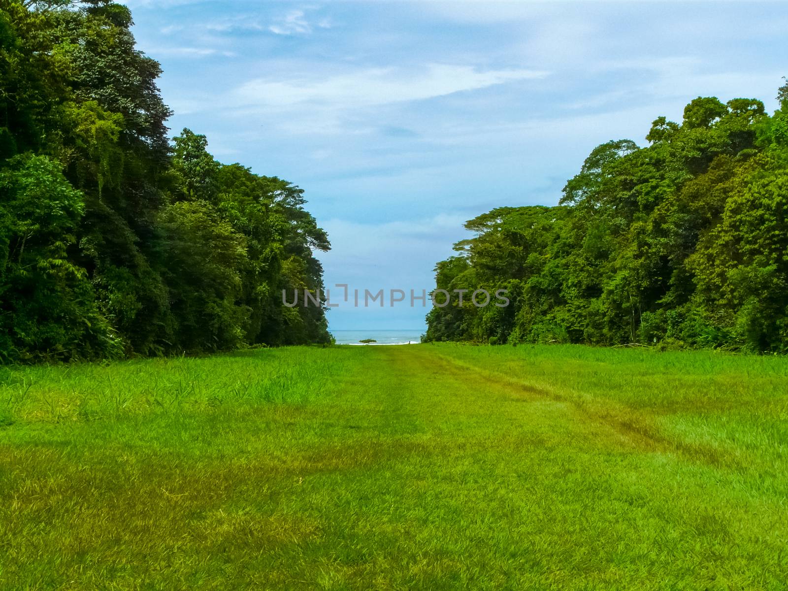 Corcovado National Park, Osa Peninsula by nicousnake