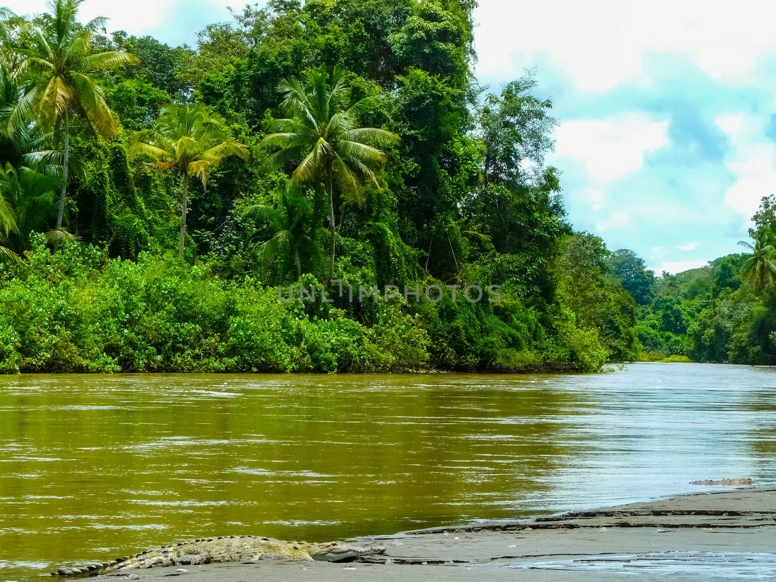 Corcovado National Park, Osa Peninsula by nicousnake