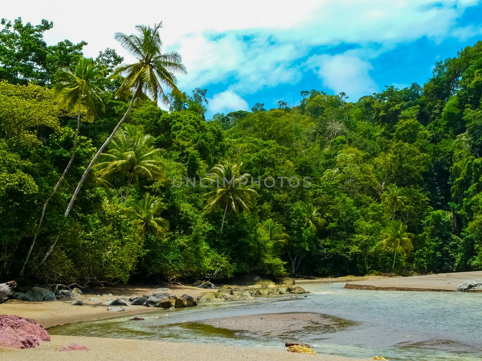 Corcovado National Park, Osa Peninsula, Costa Rica