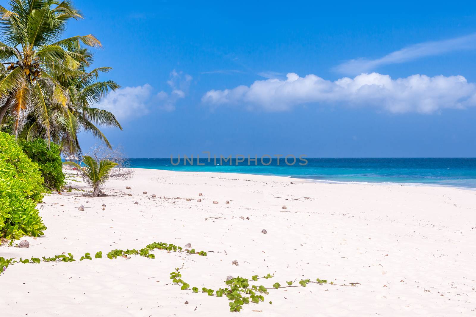 Seychelles, Paradise beach. La Digue at Anse Lazio, Source d’Argent