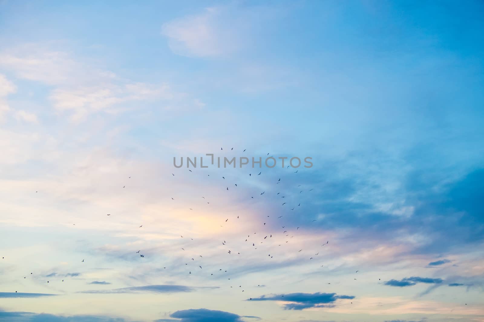 blue and pink sky over Arnside Estuary UK by paddythegolfer