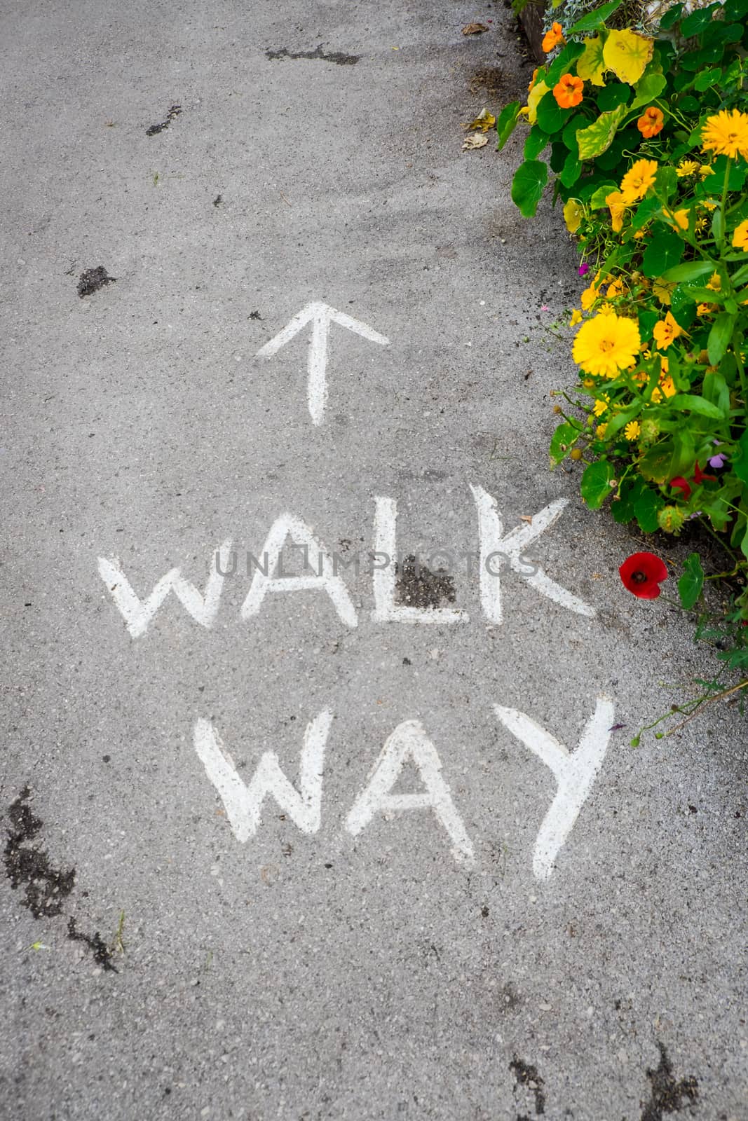 pedestrian road markings on footpath in the village of Dent by paddythegolfer