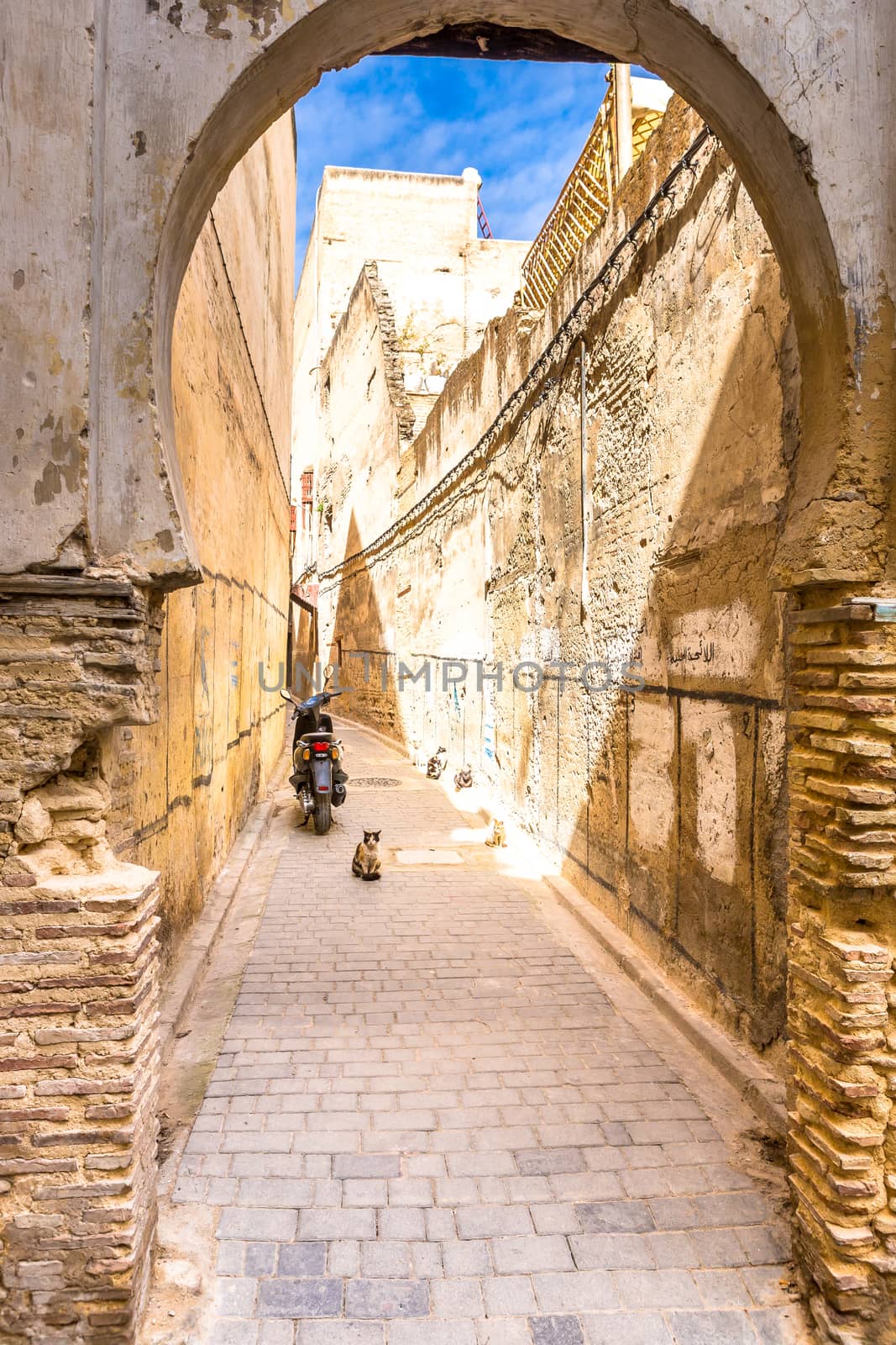 Ancient medina of Fez, Morocco by SeuMelhorClick