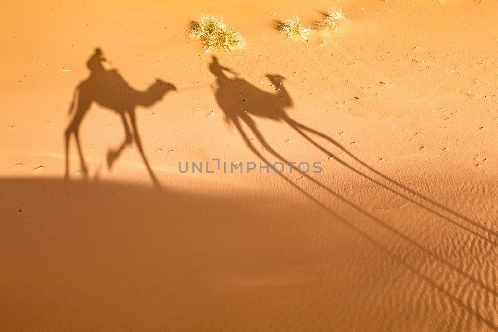 Merzouga in the Sahara Desert in Morocco by SeuMelhorClick
