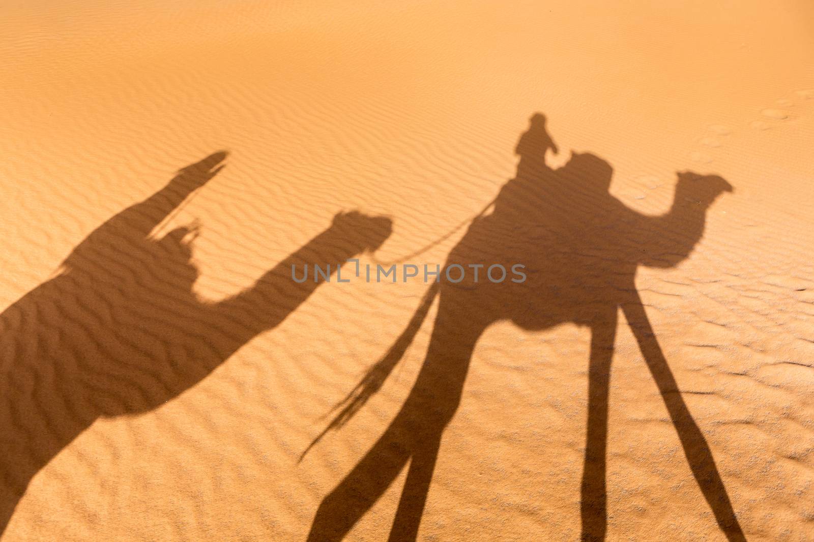 Merzouga in the Sahara Desert in Morocco