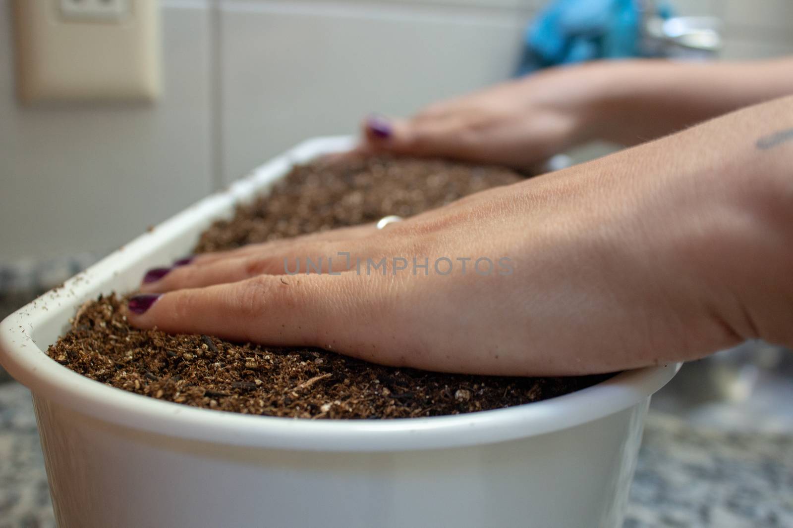 Woman handling soil on a plastic flowerpot while planting some herbs at home