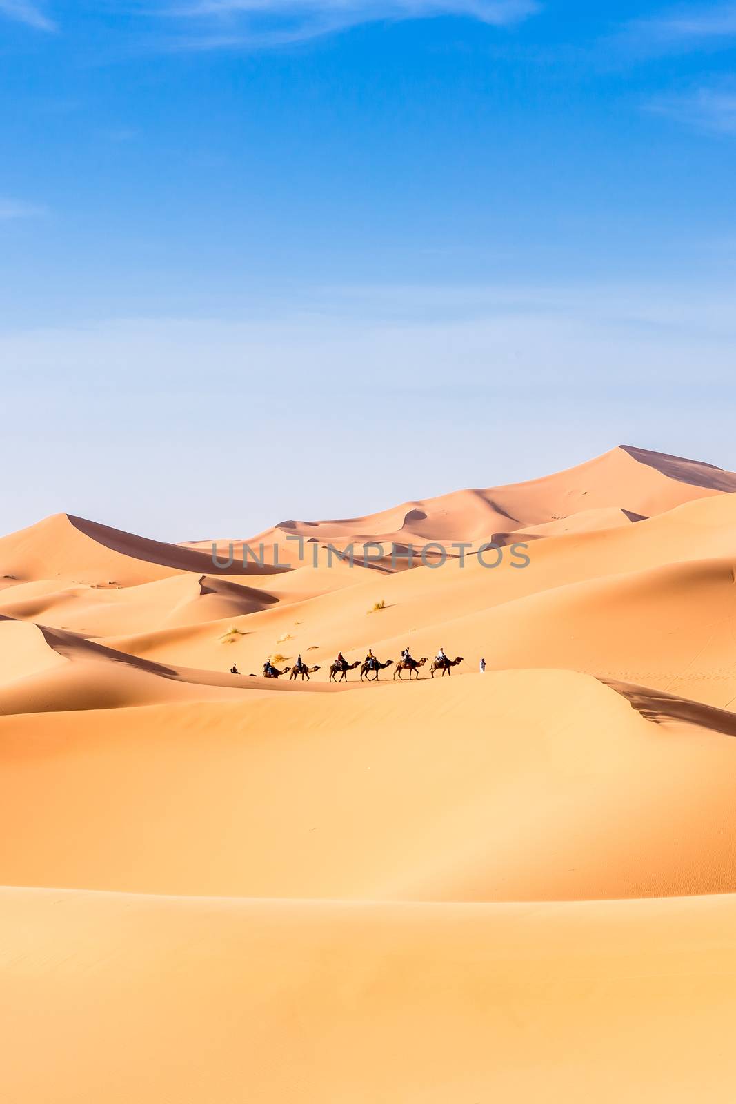 Merzouga in the Sahara Desert in Morocco