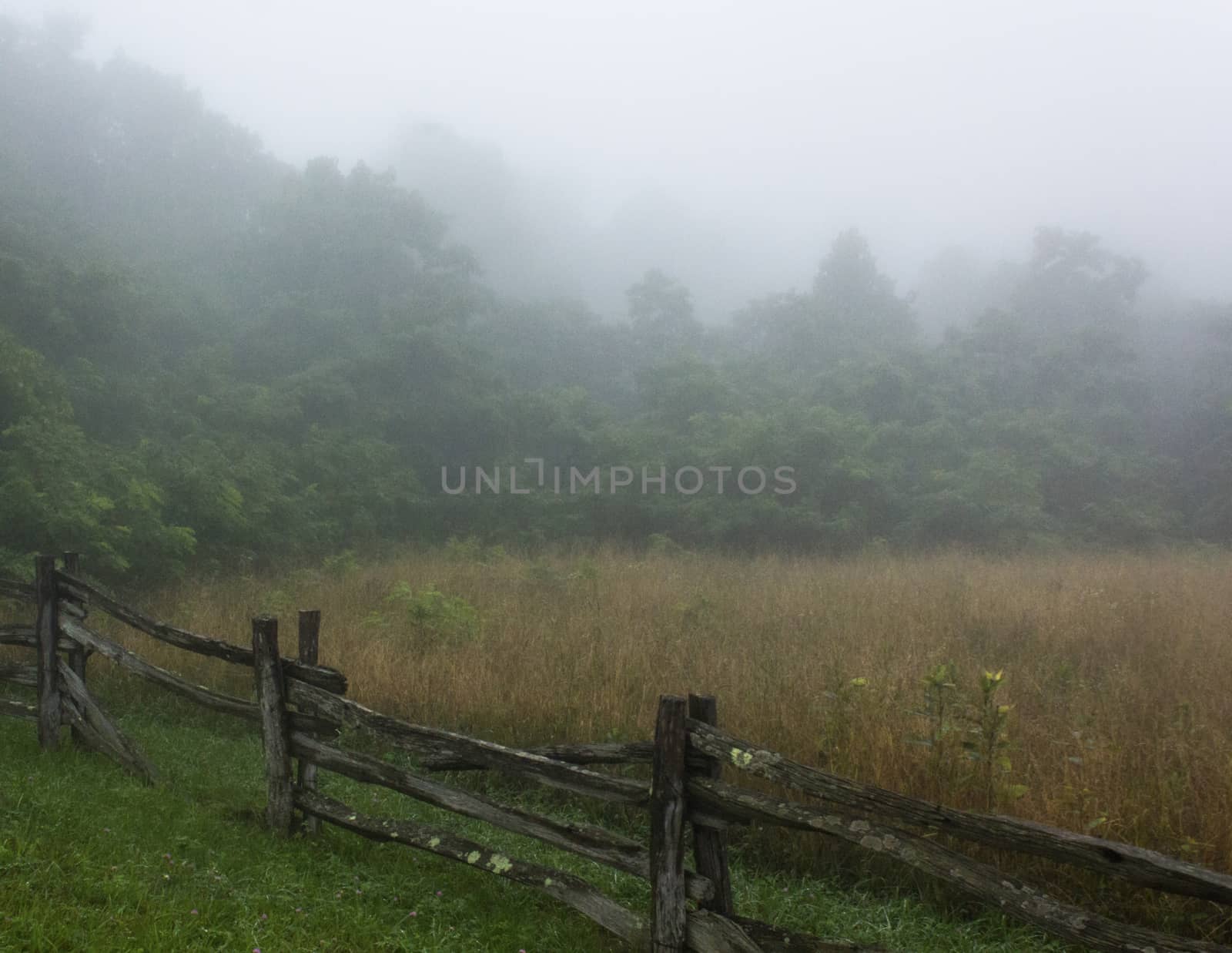 Wooden rail fence along foggy field on Blue Ridge Parkway.