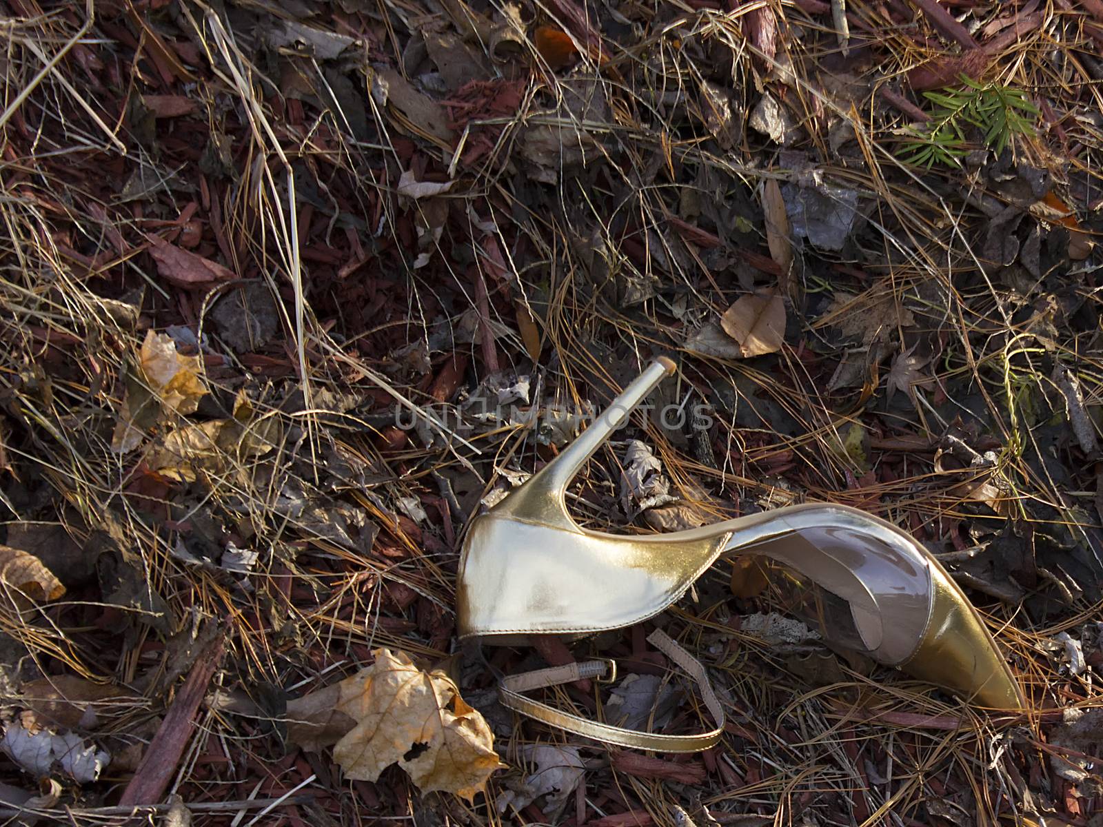 Lost golden shoe by roadside