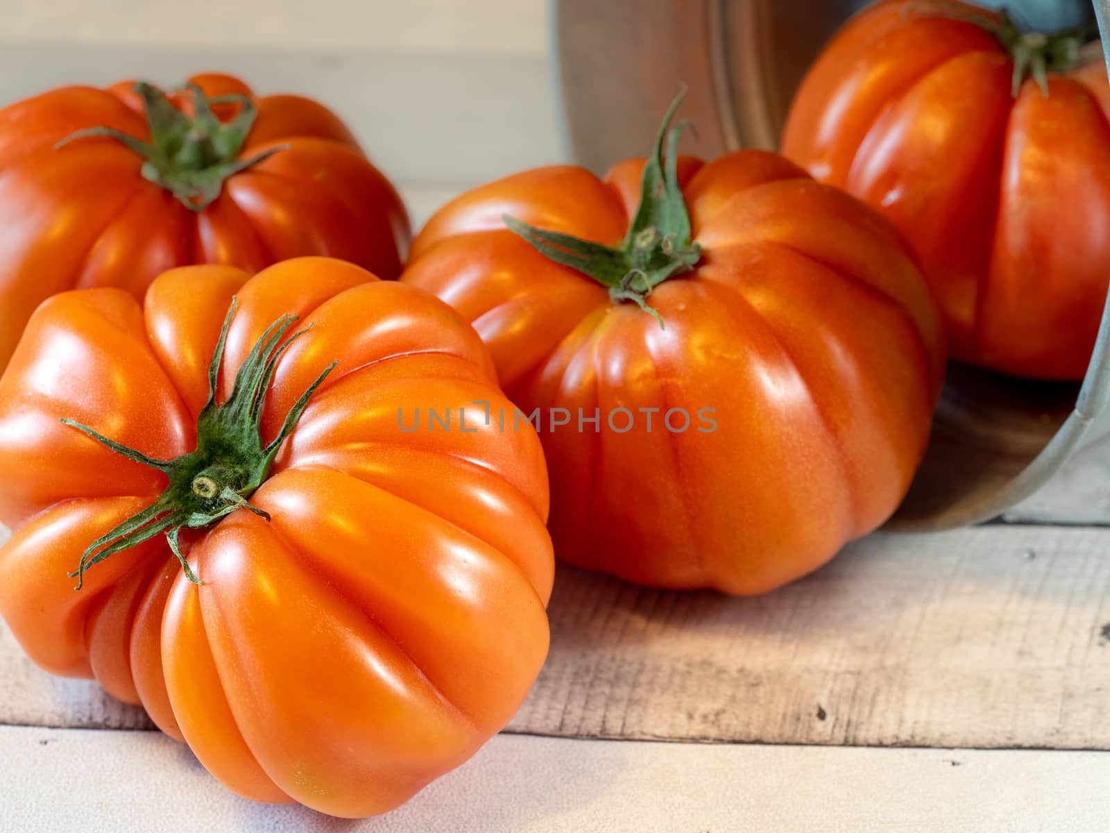 tomatoes in a metal bucket on light table