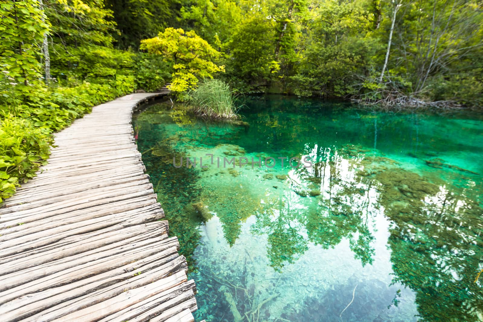 Plitvice Lakes, Croatia Waterfall. Amazing Place. by SeuMelhorClick