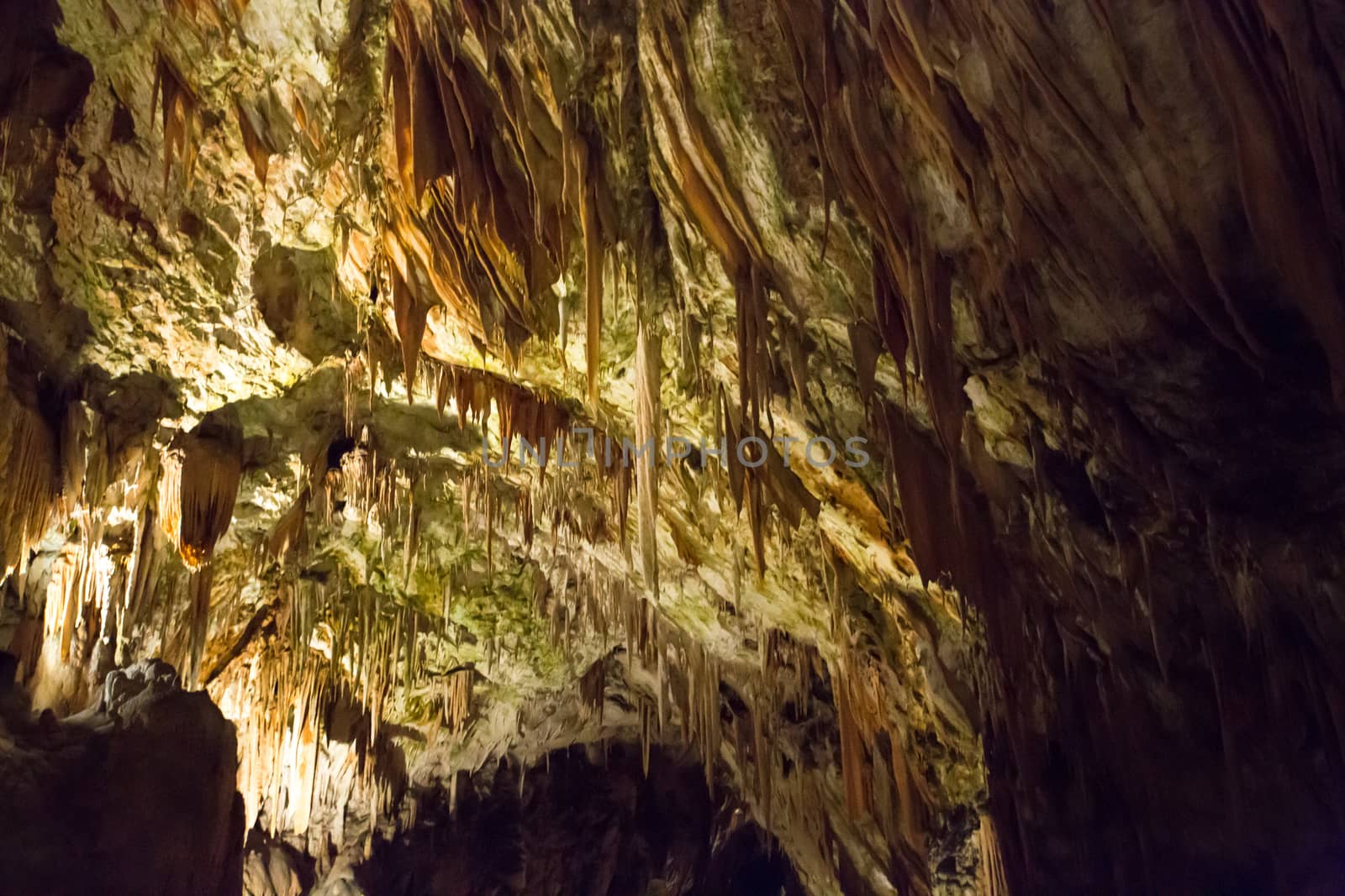 Postojna cave, Slovenia. Formations inside cave with stalactites and stalagmites by SeuMelhorClick