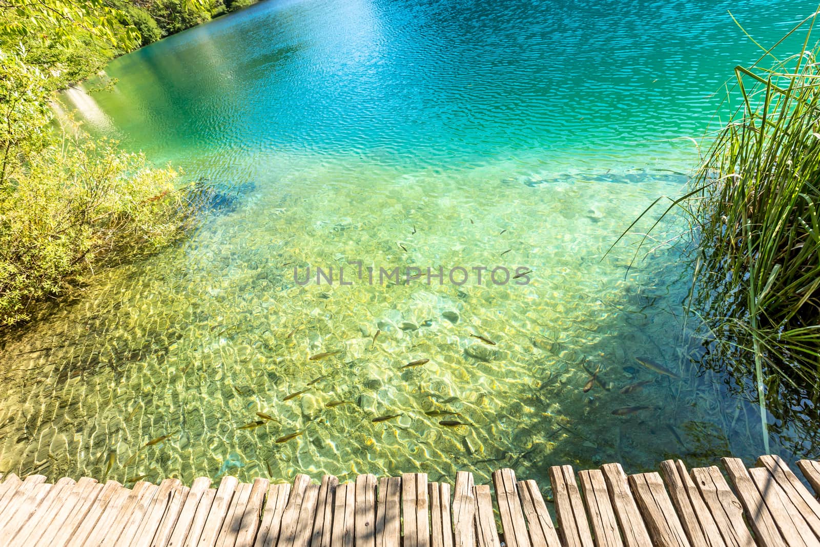 Plitvice Lakes, Croatia Waterfall. Amazing Place.