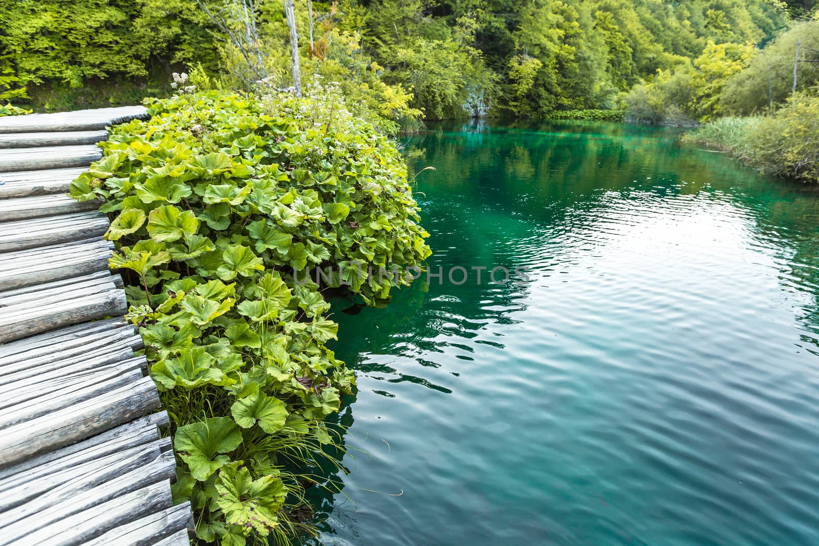 Plitvice Lakes, Croatia Waterfall. Amazing Place.