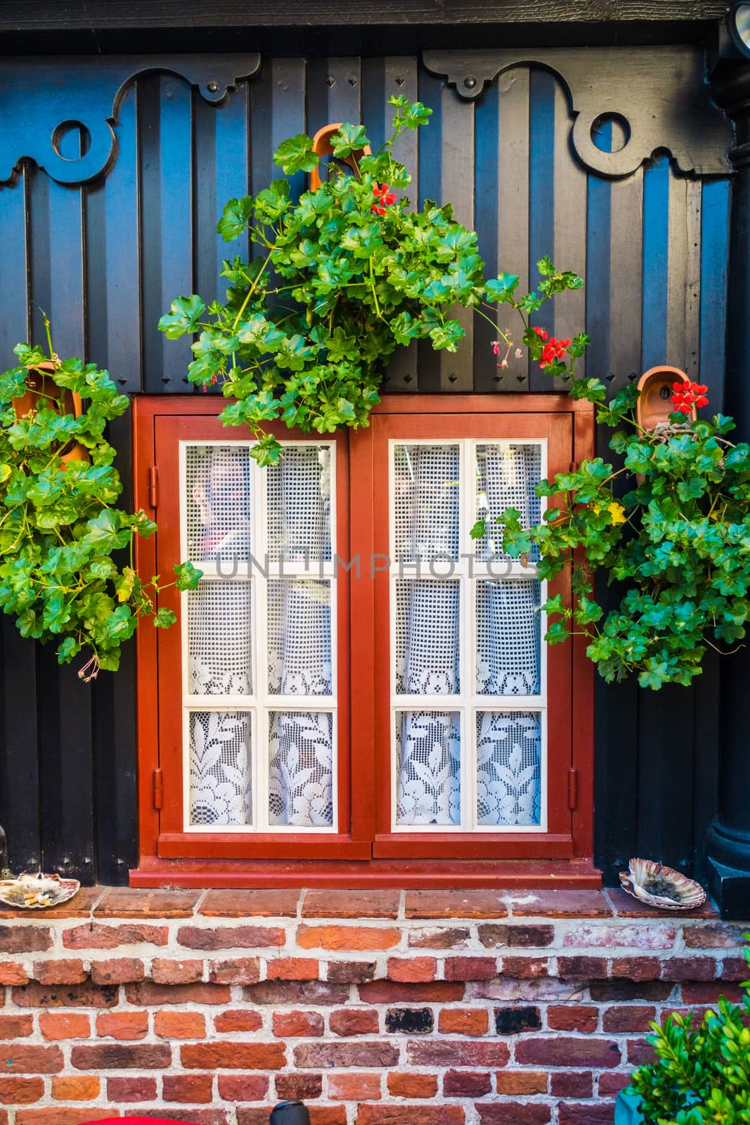 Window with white curtain and classic louvers on red wall.Windows with black shutters. by paddythegolfer