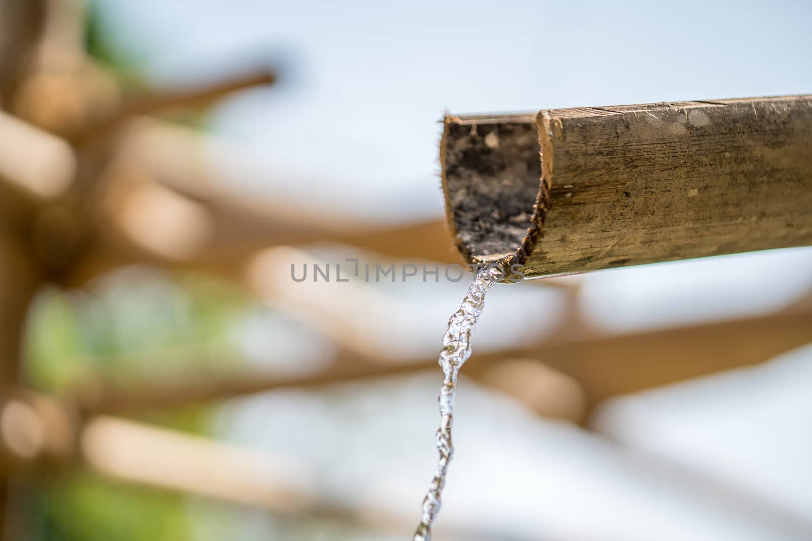 Traditional bamboo fountain with water in zen garden