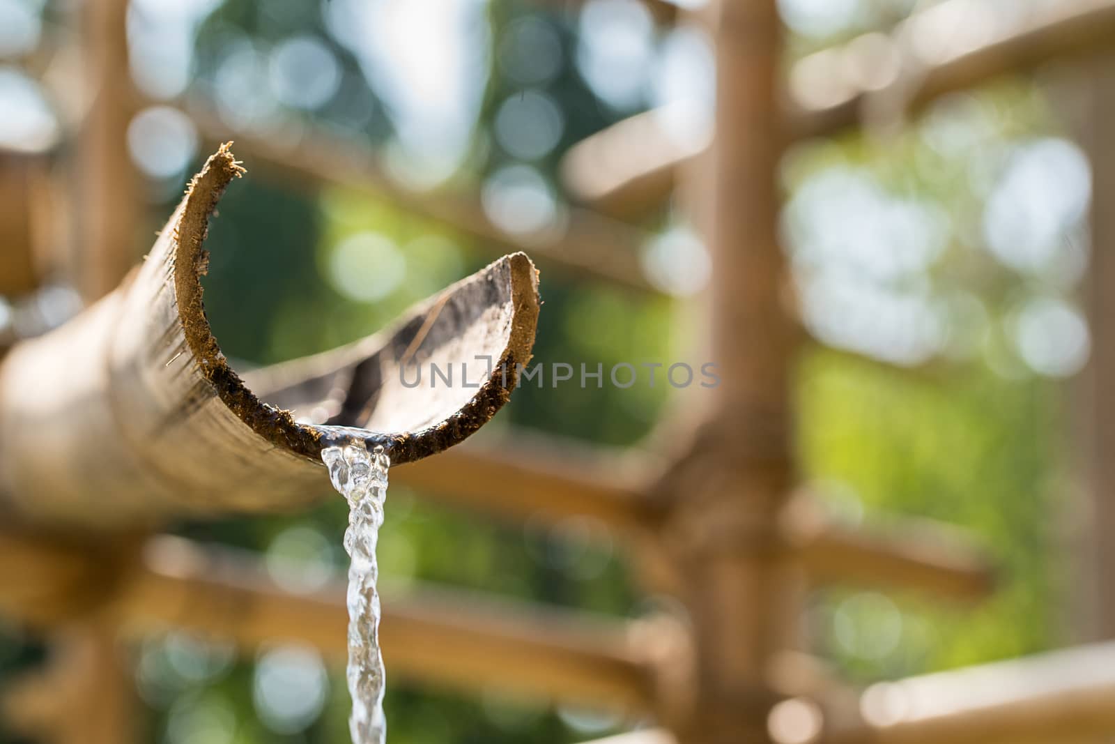 Traditional bamboo fountain with water in zen garden