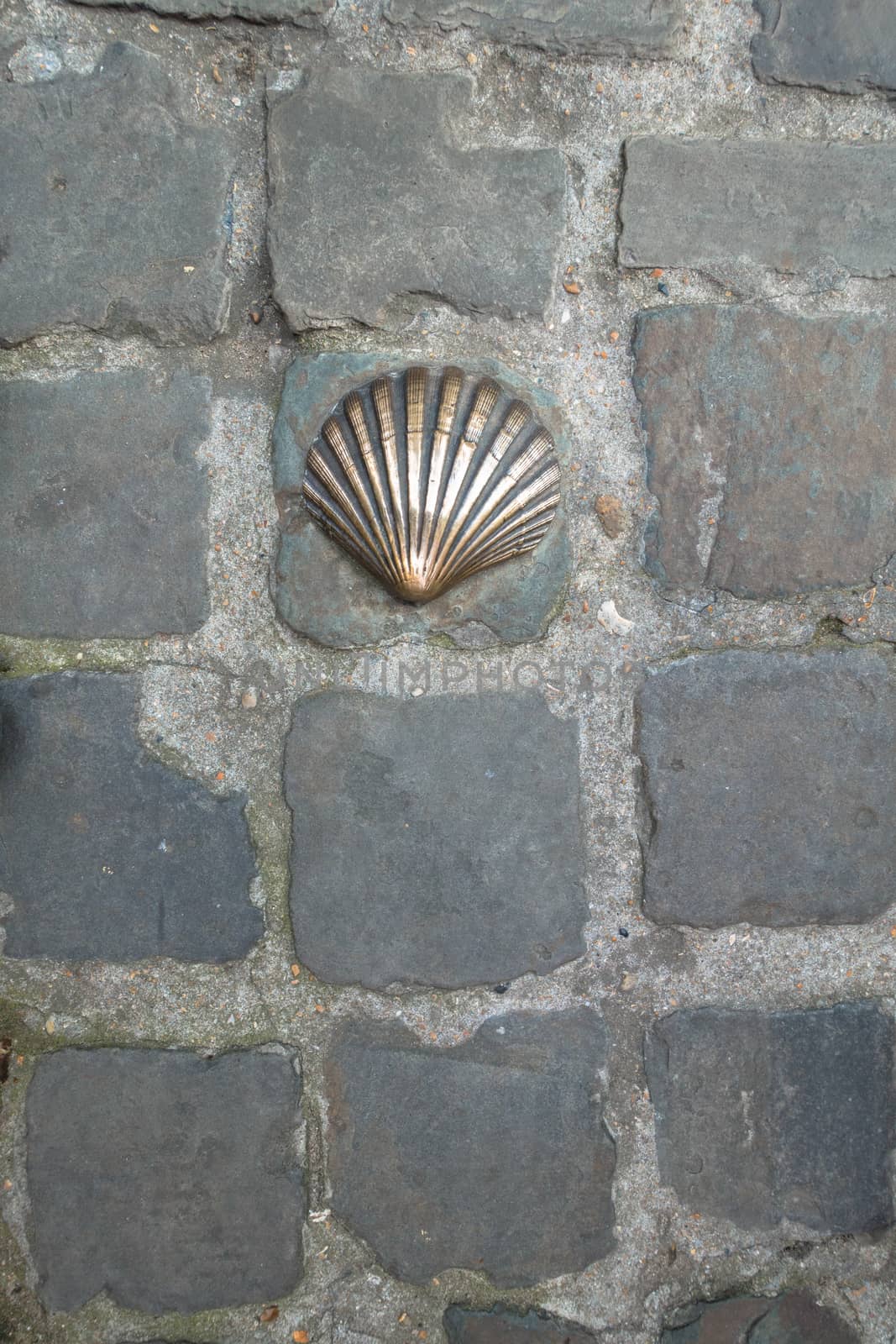 Brass shell in cobblestone on the street at Bruges Belguim by paddythegolfer