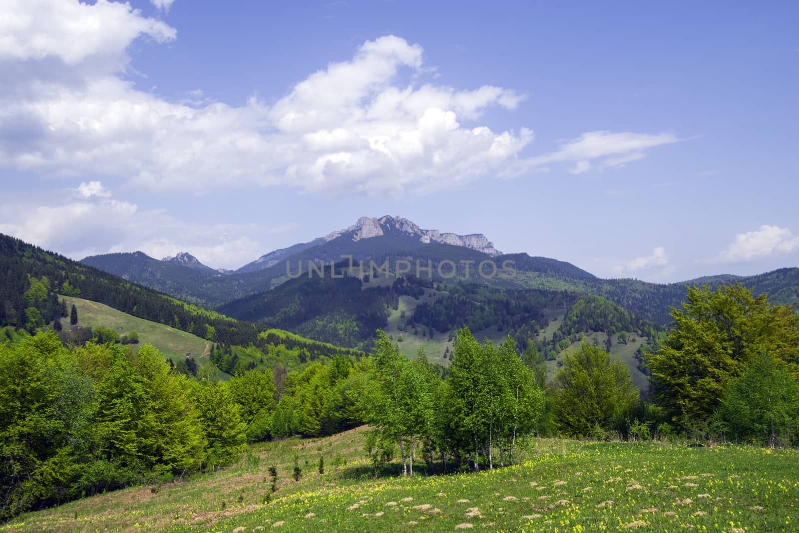 Green forest panorama, stony Ceahlau mountain and the blue sky.