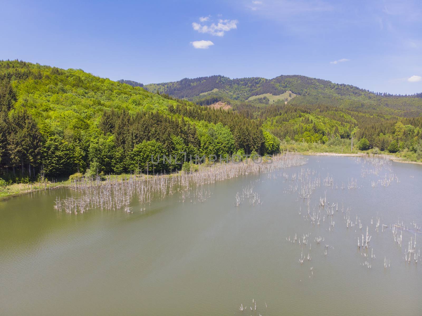 Natural dam lake in Romania, aerial view. In 1991 a major landslide blocked the Cuejdel brook and a larger lake was formed.