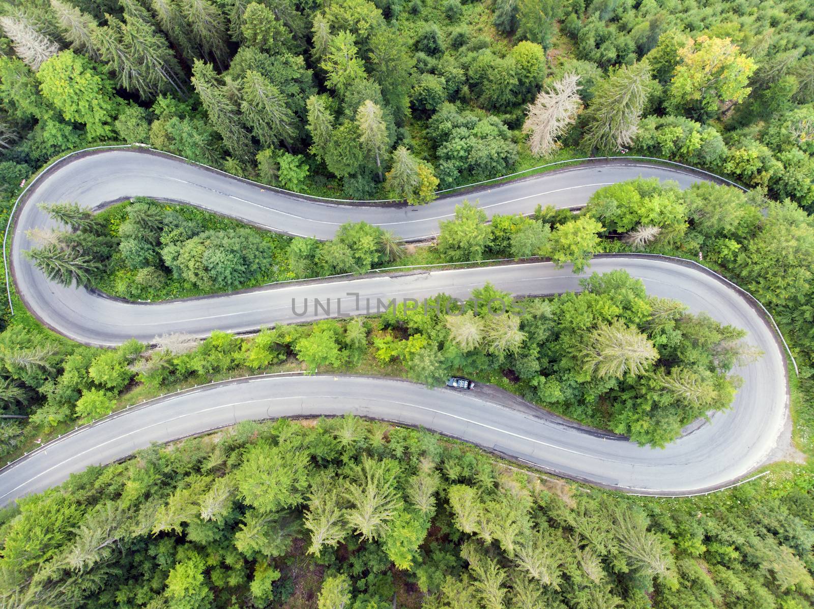 Above view of curvy road through green forest