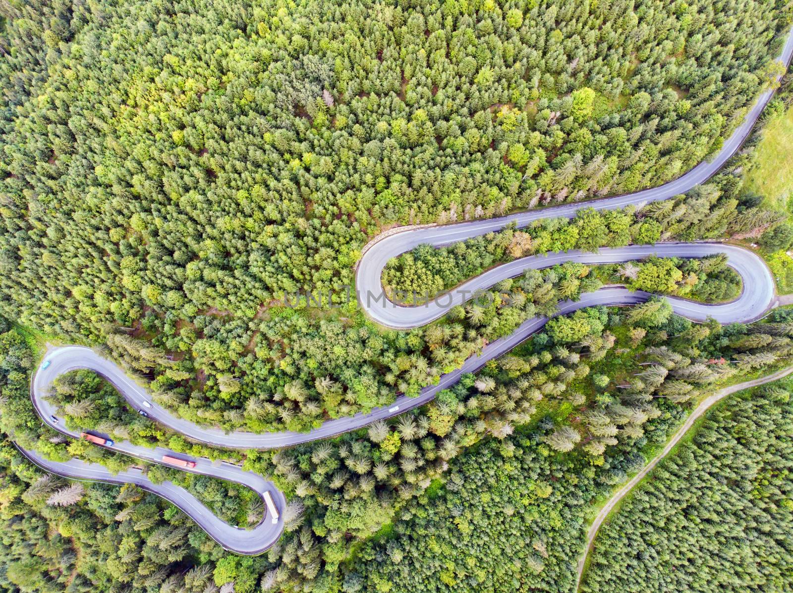 Summer mountain road view from above. mountain pass through green forest in Romania