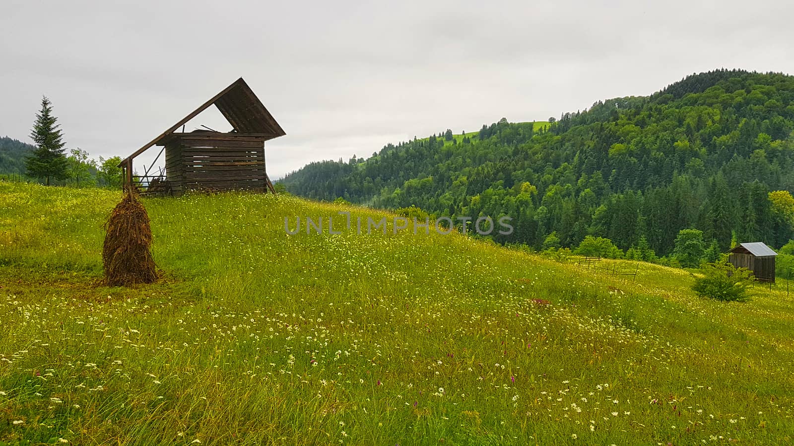 Mountain huts on green hill by savcoco
