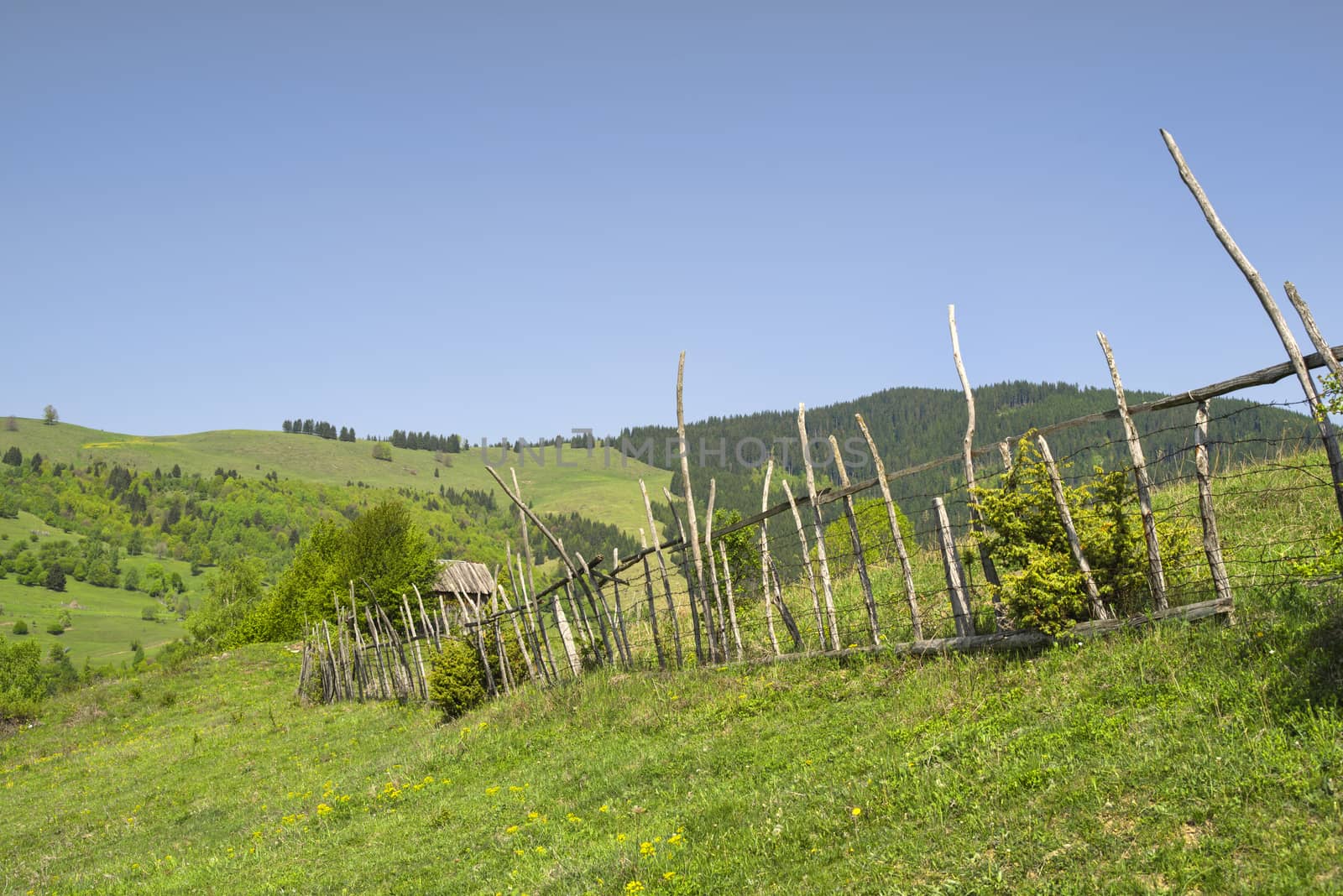 Fence in rural landscape, spring green