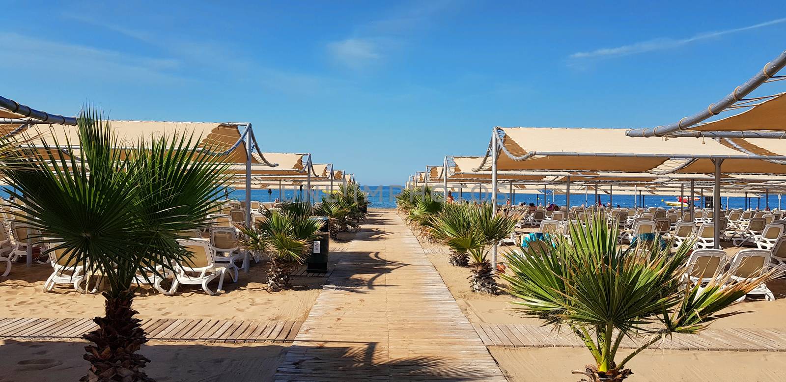 Wood alley to the sea on the beach with many umbrellas