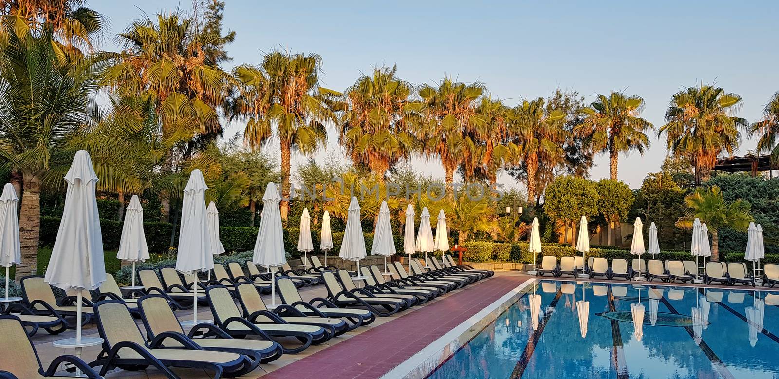 Summer resort on mediterranean beach, swimming pool and chaise loungues with palms behind.